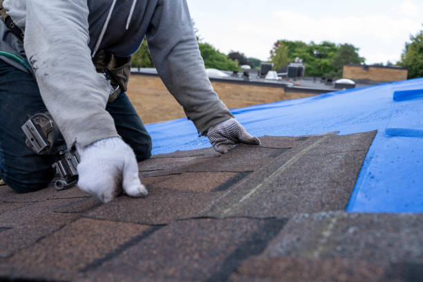 Best Roof Maintenance Services  in Blissfield, MI