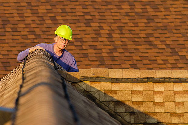 Best Roof Restoration Services  in Blissfield, MI