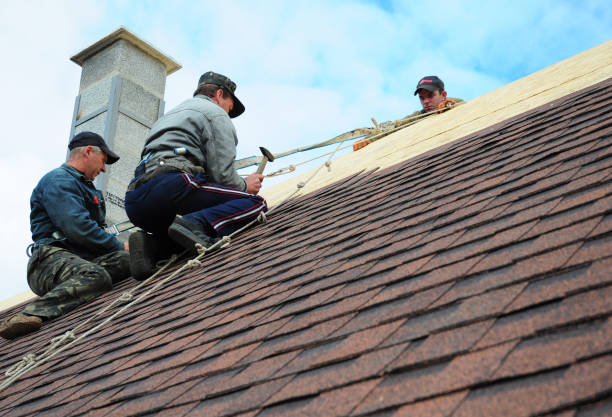 Quick and Trustworthy Emergency Roof Repair Services in Blissfield, MI